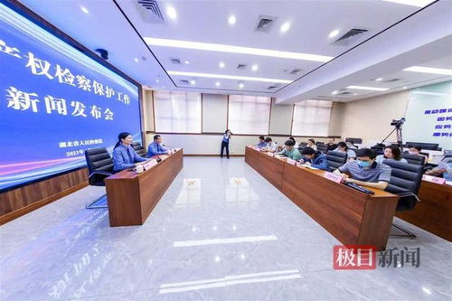 湖北通報知識產(chǎn)權(quán)檢察保護典型案例 侵權(quán)影片2200余部，8人因從事廣告業(yè)務(wù)獲刑